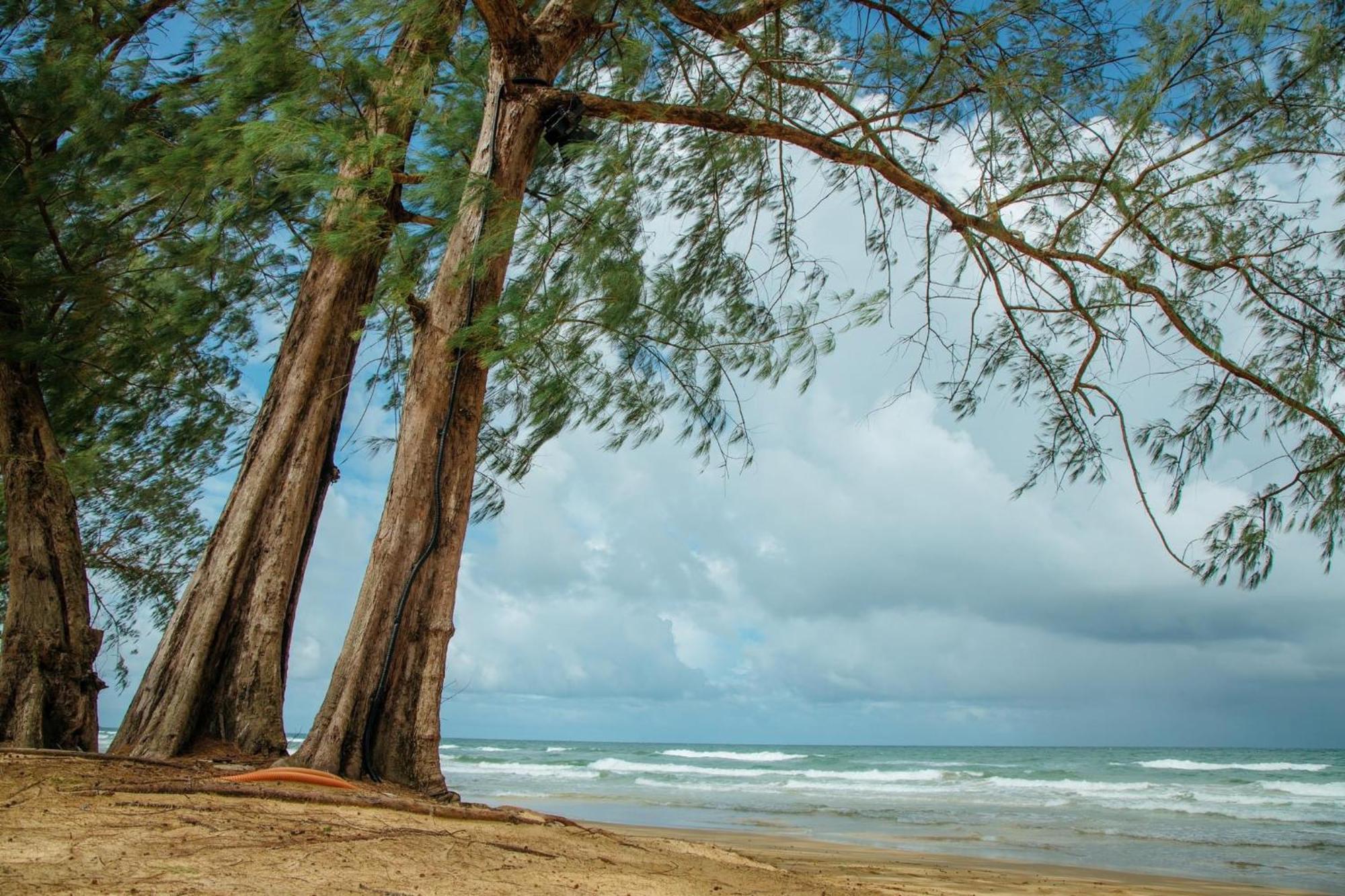 Bien Nho Homestay & Spa Phu Quoc Exteriér fotografie